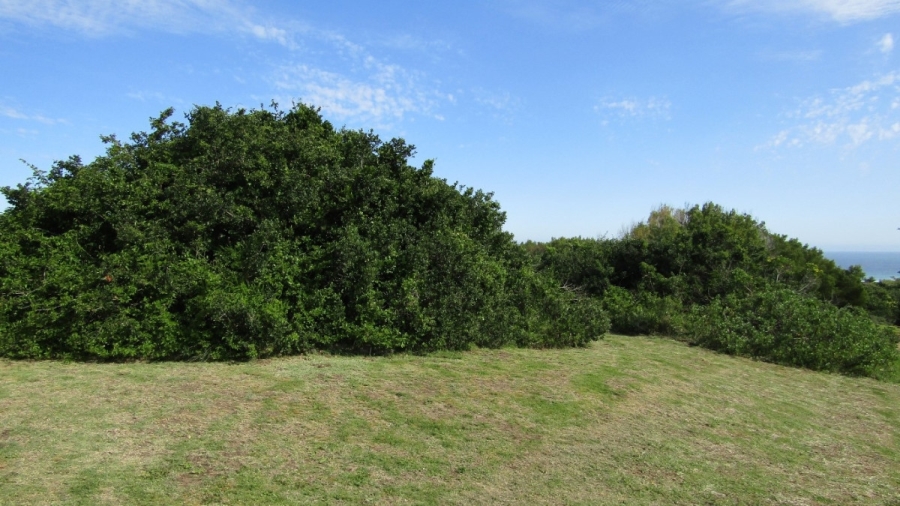 0 Bedroom Property for Sale in Oyster Bay Eastern Cape